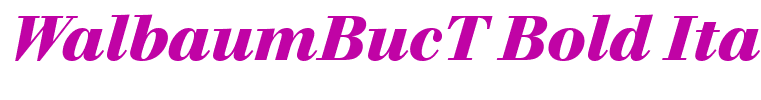 WalbaumBucT Bold Italic